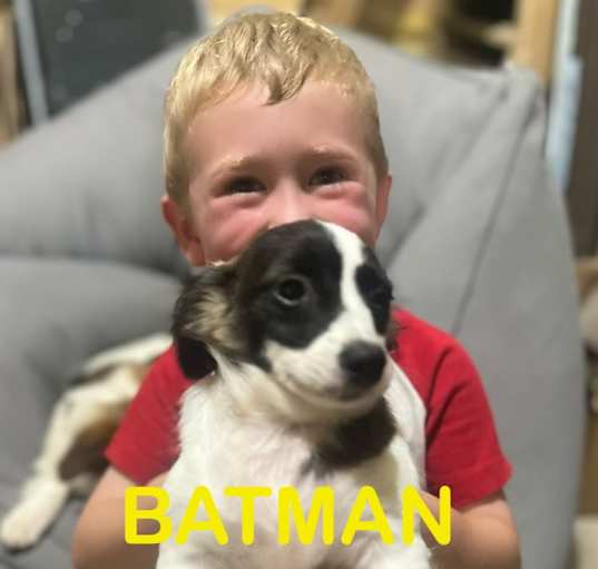 Photo of Batman