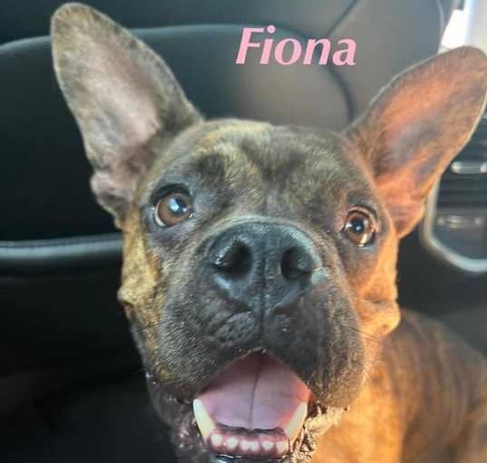 Photo of FIONA