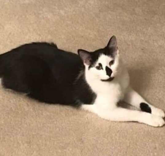 Photo of Tally