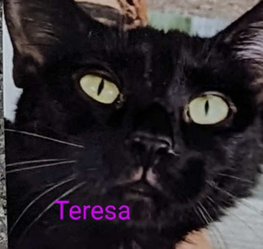 Photo of Teresa