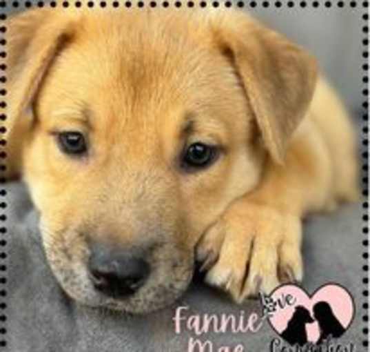 Photo of Fannie Mae