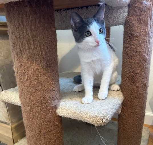 Photo of Cece