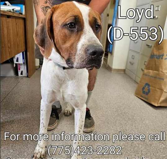 Photo of Loyd