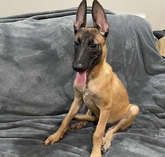 Photo of Clyde