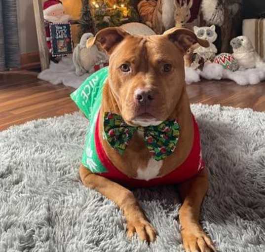 Photo of Finnigan