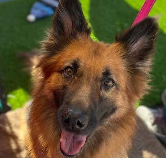 Photo of Gia