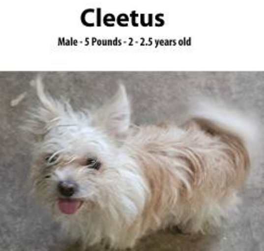 Photo of Cleetus