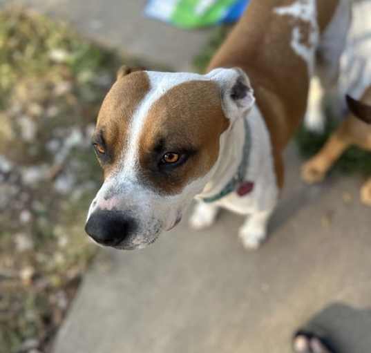 Photo of Laverne