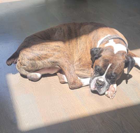 Photo of Cajun