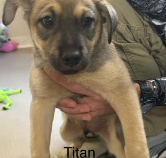 Photo of Titan