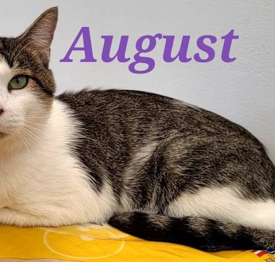 Photo of August