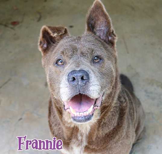 Photo of FRANNIE