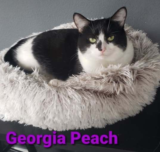 Photo of Georgia Peach