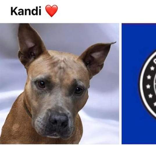 Photo of KANDI