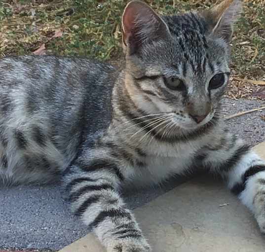 Photo of Wei