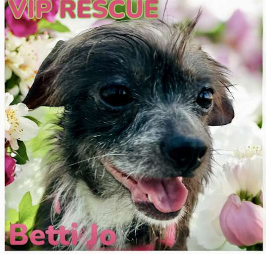 Photo of Betti Jo