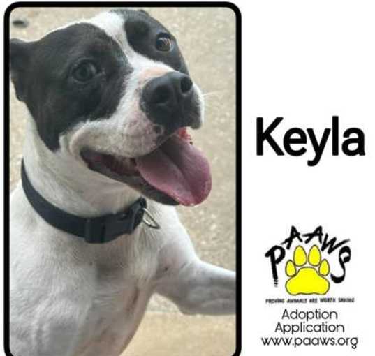 Photo of Keyla