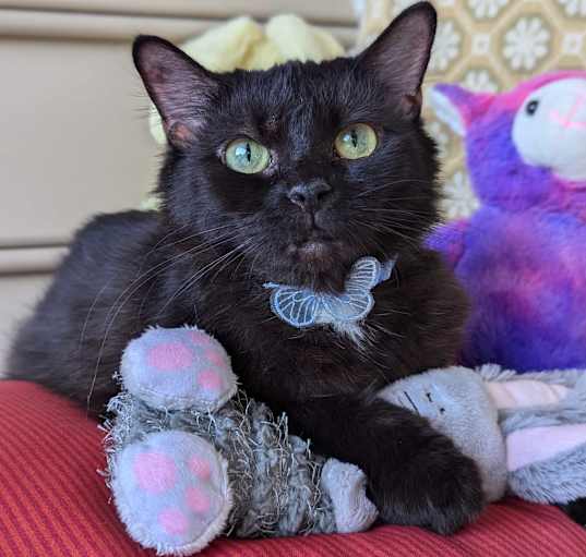 Photo of Lucy (Biscuit maker)