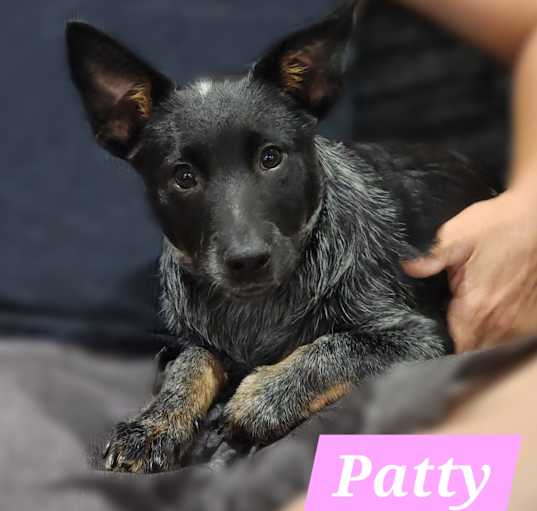 Photo of Patty