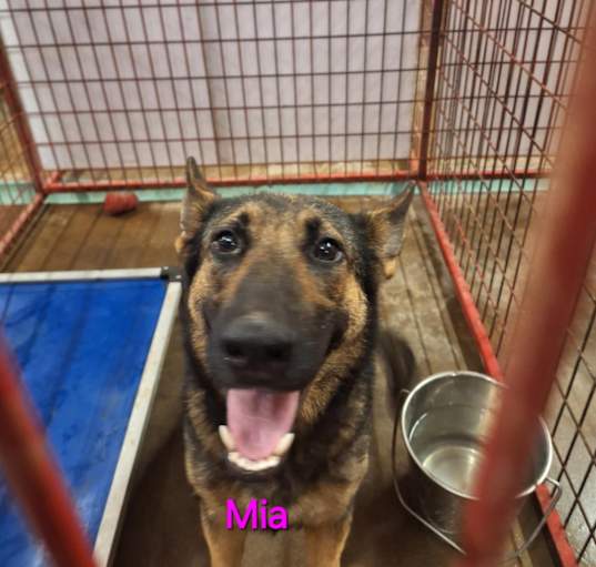 Photo of Mia