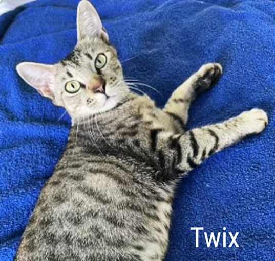 Photo of Twix