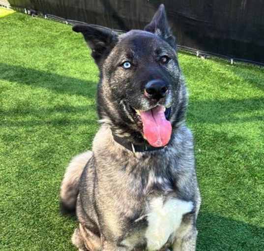 Photo of OSO