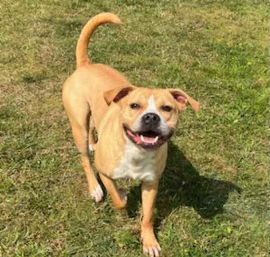 Photo of Daisy