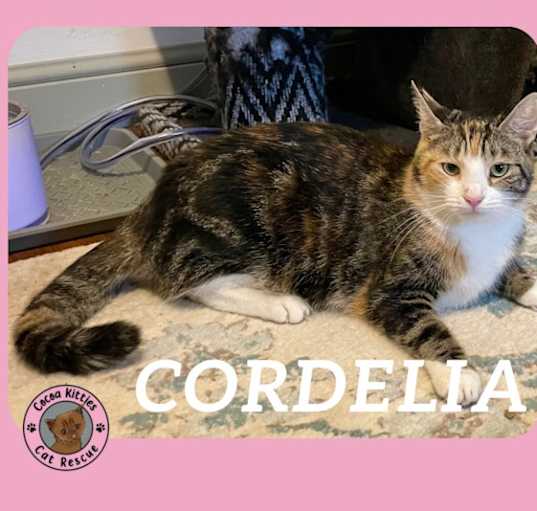 Photo of Cordelia