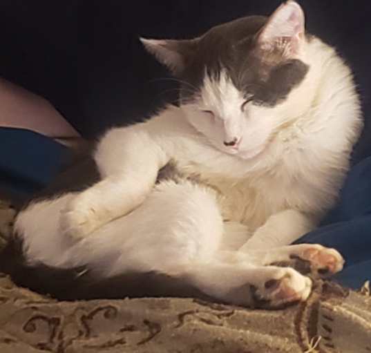Photo of Larry