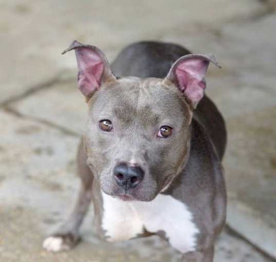Photo of DIAMOND