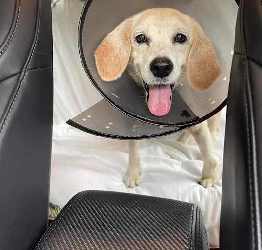 Photo of Betty