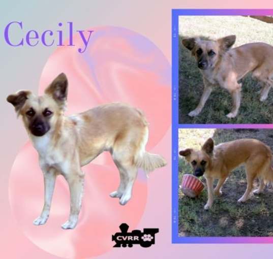 Photo of Cecily