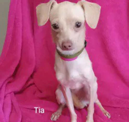 Photo of Tia