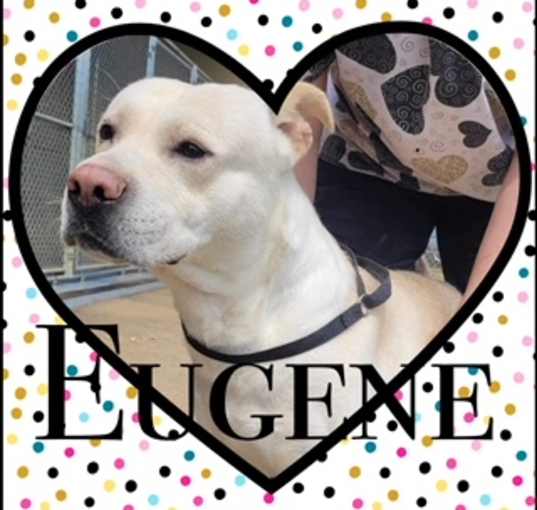 Photo of Eugene