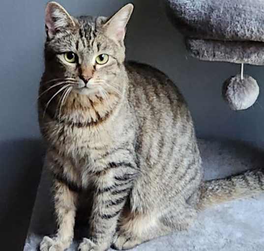 Photo of Molly