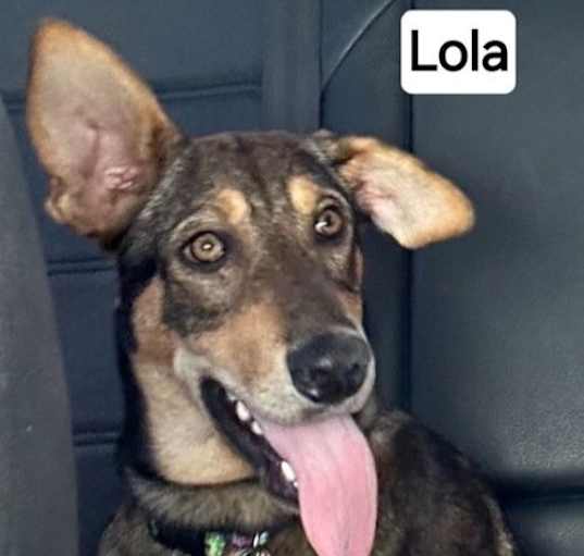 Photo of Lola