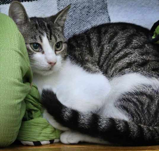 Photo of Spooky