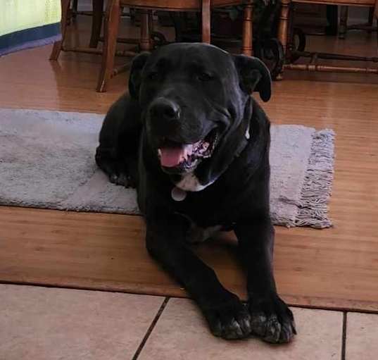 Photo of Astro
