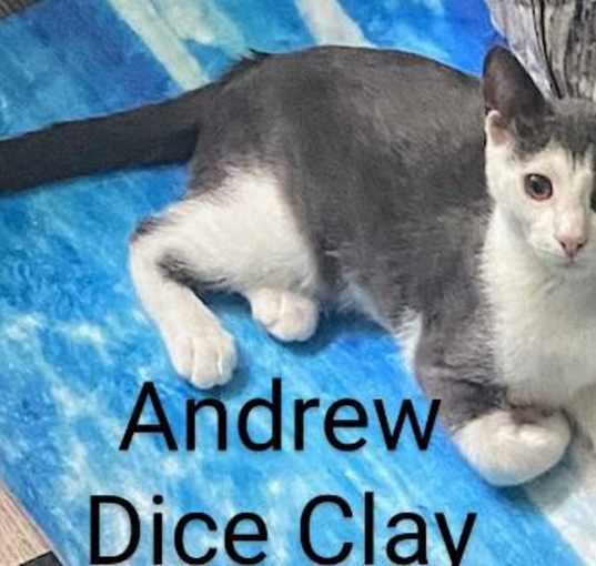 Photo of Andrew Dice Clay