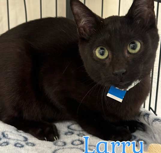 Photo of Larry