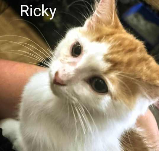 Photo of Ricky