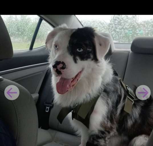Photo of Atlas