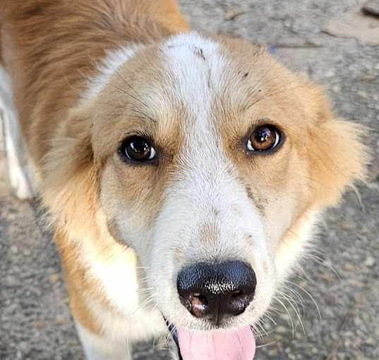 Photo of Zeni