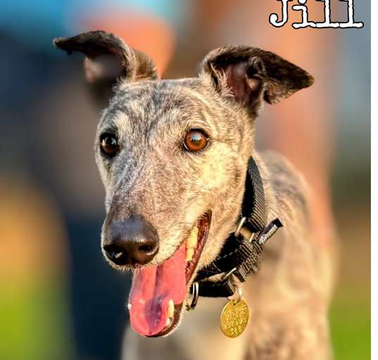 Photo of Jill