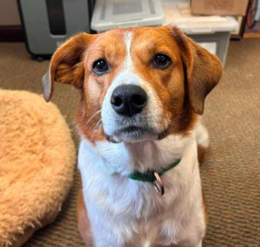 Photo of Sammy