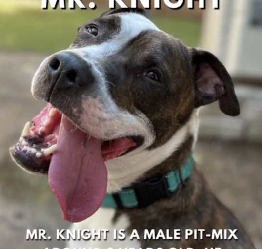 Photo of Mr. Knight