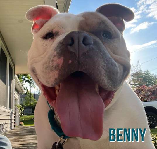 Photo of Benny