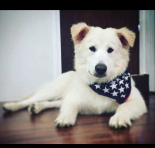 Photo of Kody