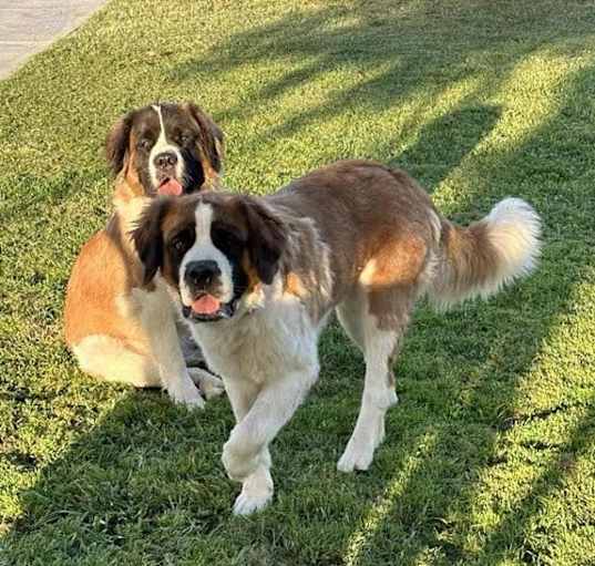 Photo of Lily & Maggie