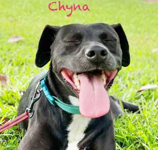 Photo of Chyna